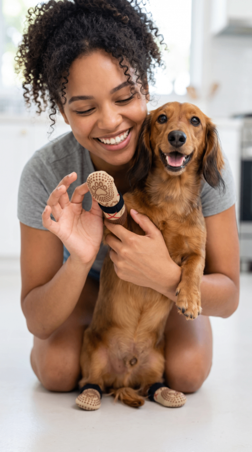 Maya T.'s dog wearing Grippy Paws