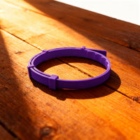 The Parlor Calming Collar