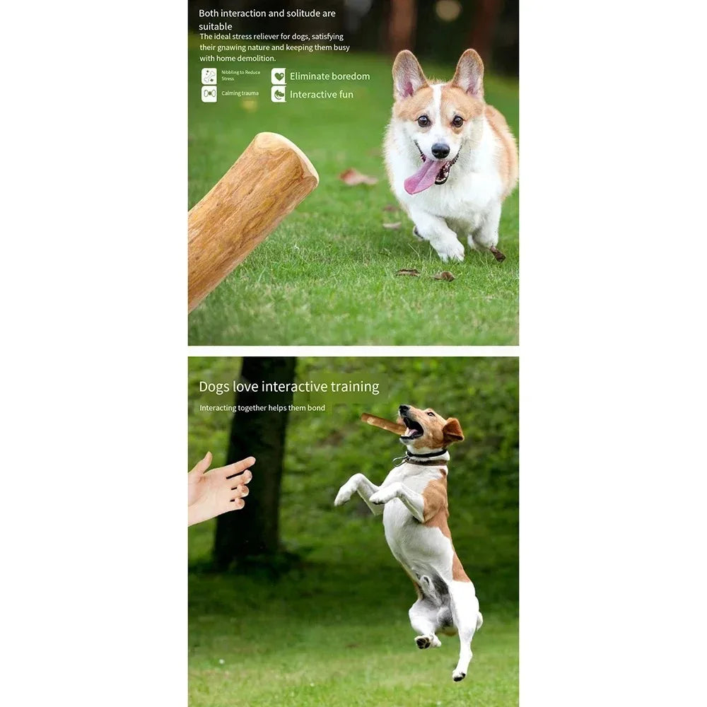 Natural Coffee Wood Dog Chew Toys Long Lasting Chewable Stick Dogs Supplies Stress Relief Chew Stick Pet Molar Toy for Dog Puppy